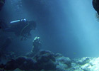 Дайвинг, Красное море